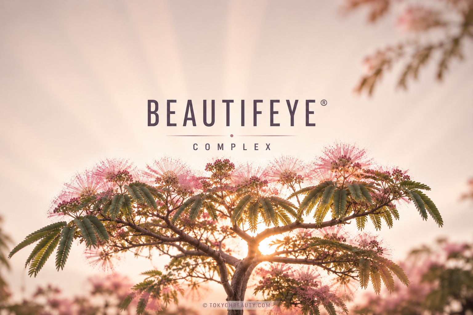 BEAUTIFEYE® Complex con albero di seta persiano nella skincare contorno occhi e smart aging moderna