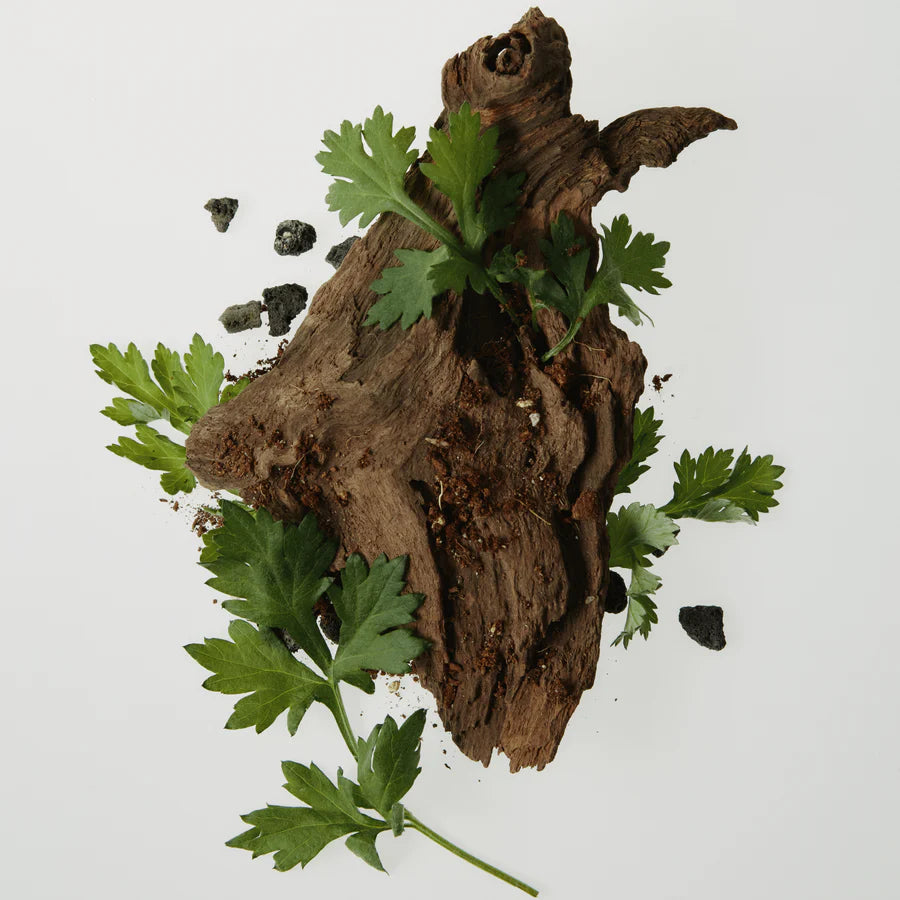 Siero coreano lenitivo con Tè Verde e Pantenolo Beauty of Joseon per pelle arrossata e sensibile.
