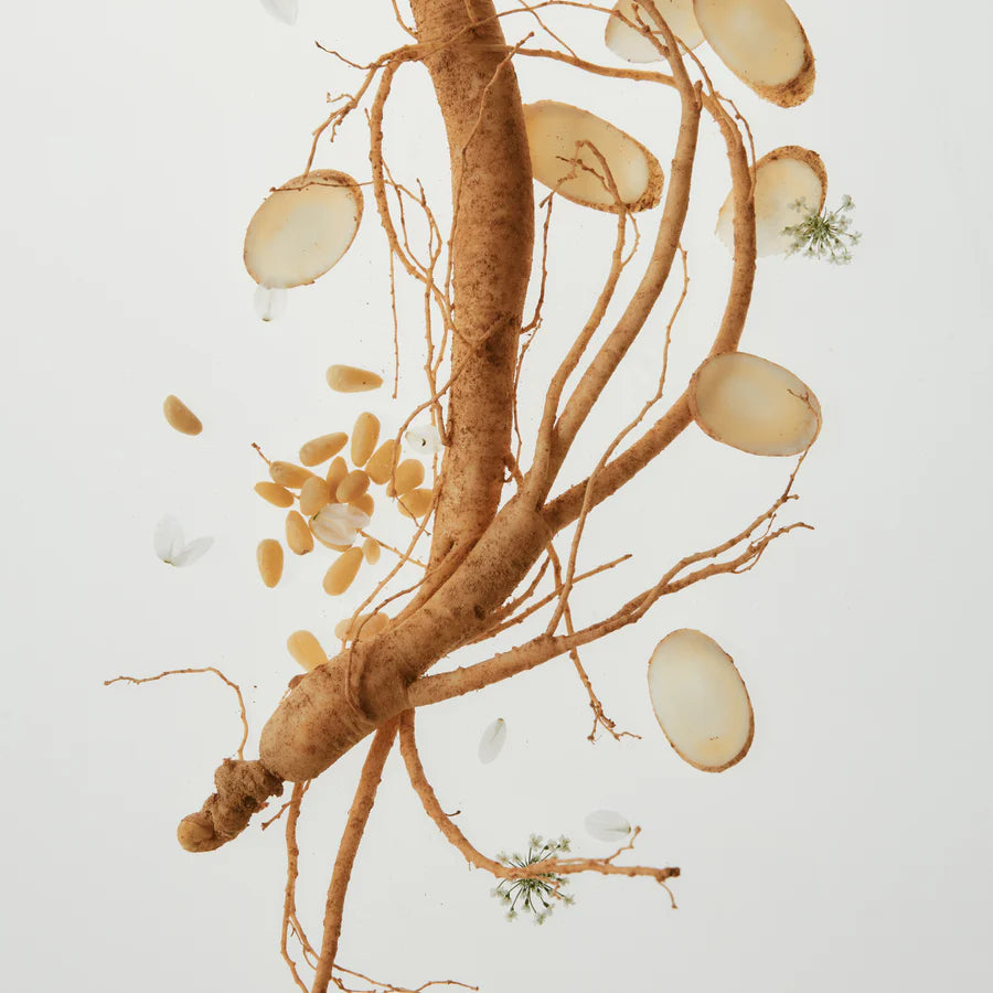 Pianta ginseng estratto componente siero coreano Beauty of Joseon