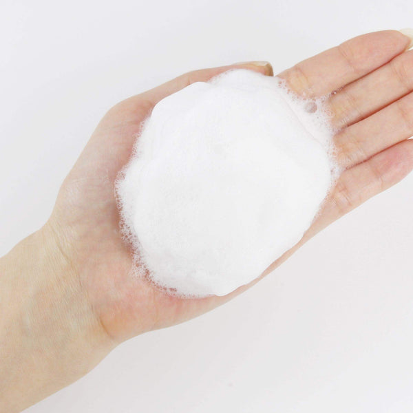 Round Lab 1025 Dokdo Cleanser detergente viso schiuma disponibile su Tokyoh Beauty